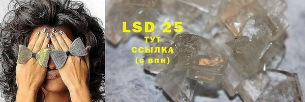 крисы Каменка