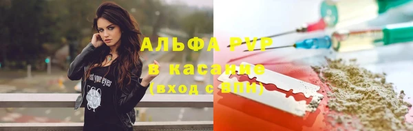 крисы Каменка