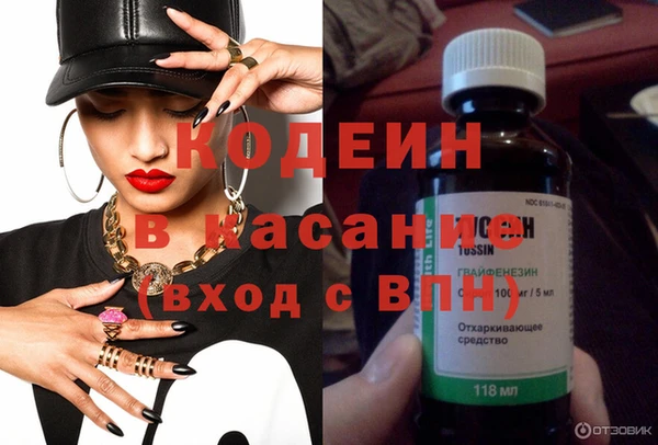 крисы Каменка
