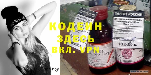 крисы Каменка