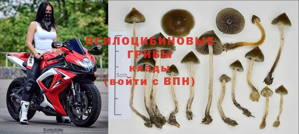 крисы Каменка