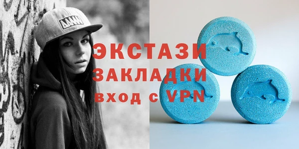 крисы Каменка