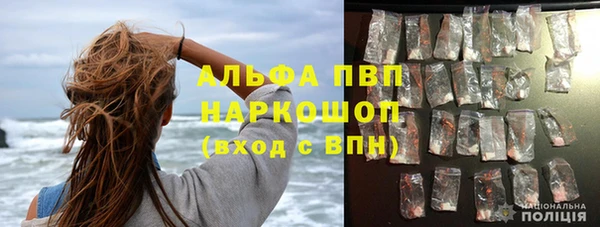 крисы Каменка