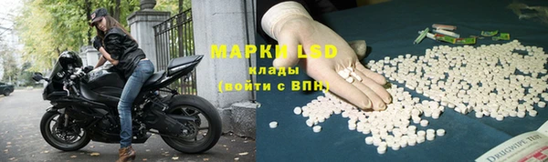 крисы Каменка