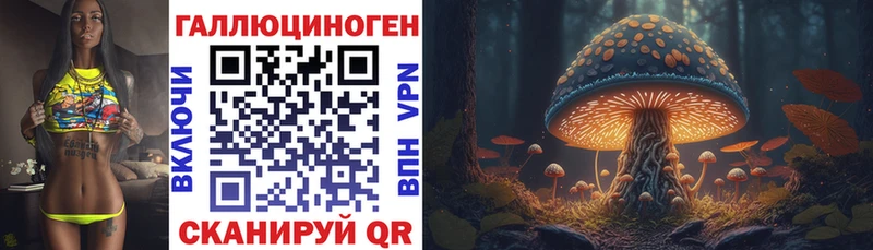 Галлюциногенные грибы GOLDEN TEACHER  Мытищи 